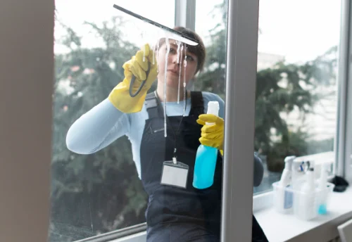Nettoyage de vitres intérieures et extérieures à la Ravoire